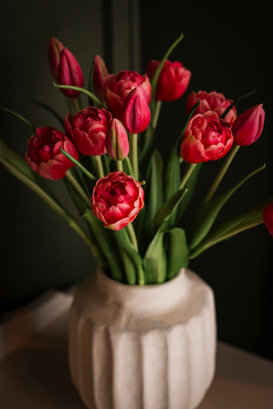 Coral Garden Tulip Bundle