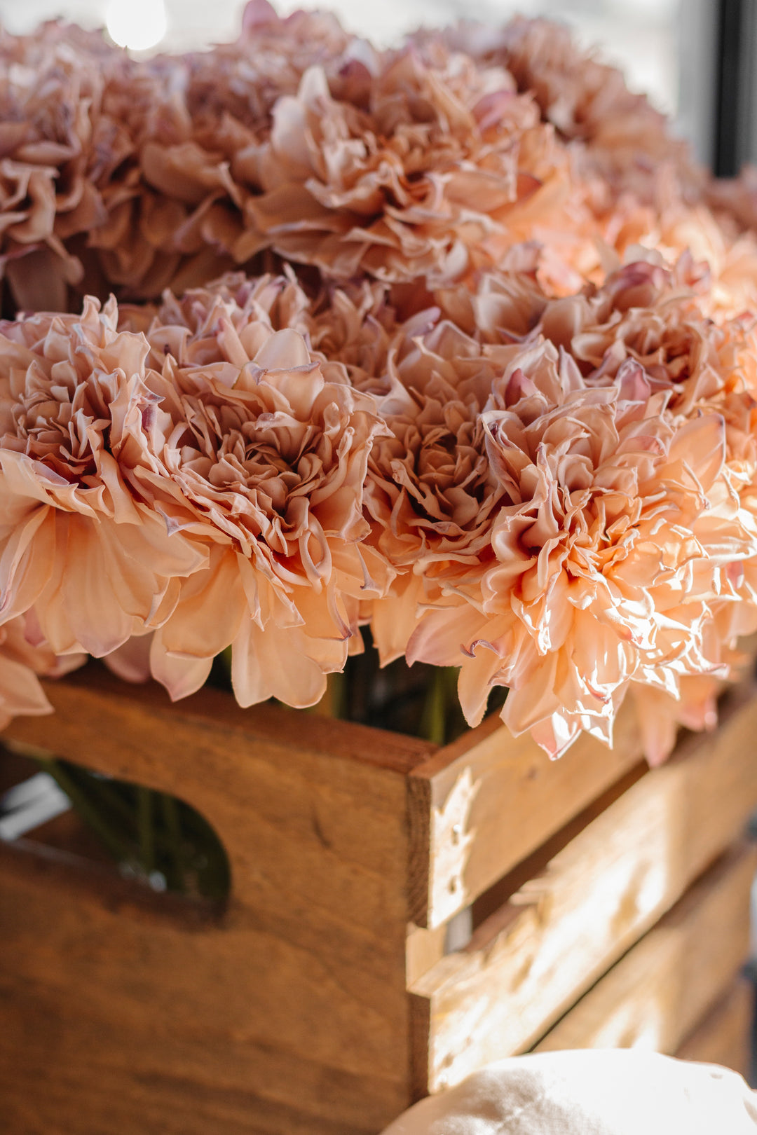 Sunset Dahlia Bouquet