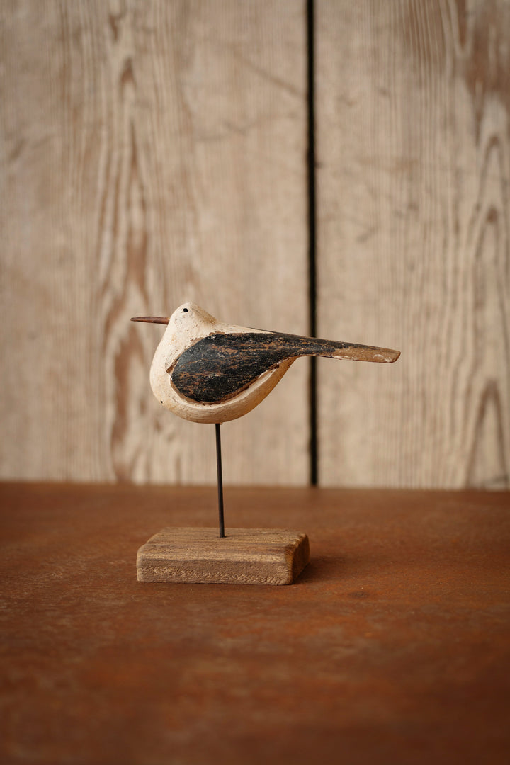 Finnegan Bird Accent