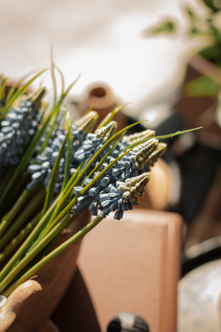 Spring Blue Muscari Bundle