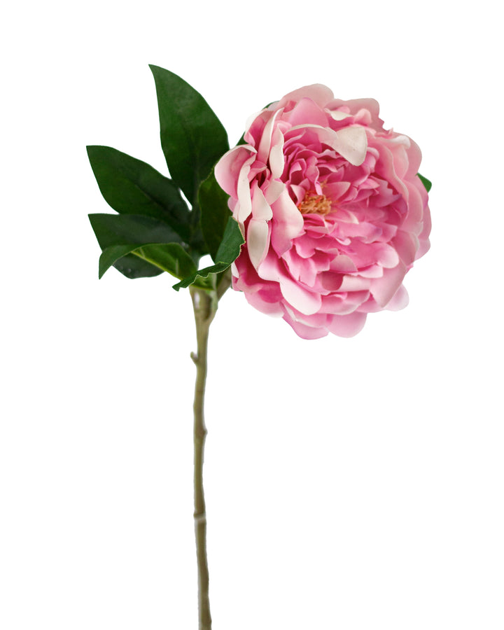 Pink Real Touch Peony