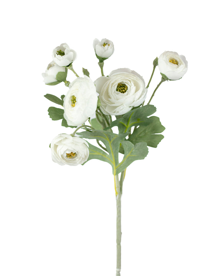 Soft White Ranunculus Stem
