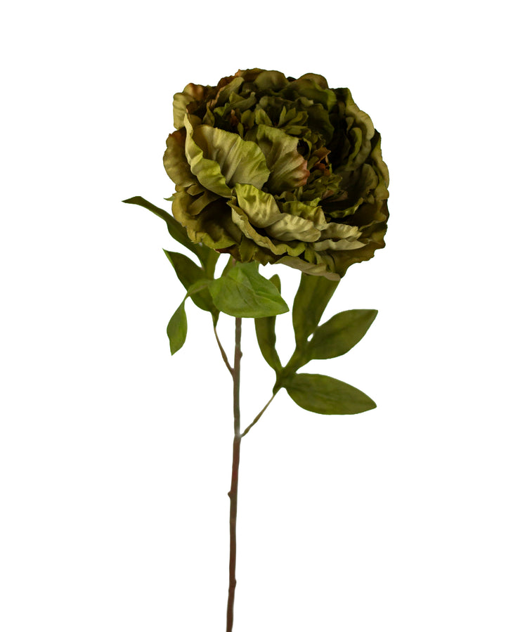 Moss Garden Peony Stem