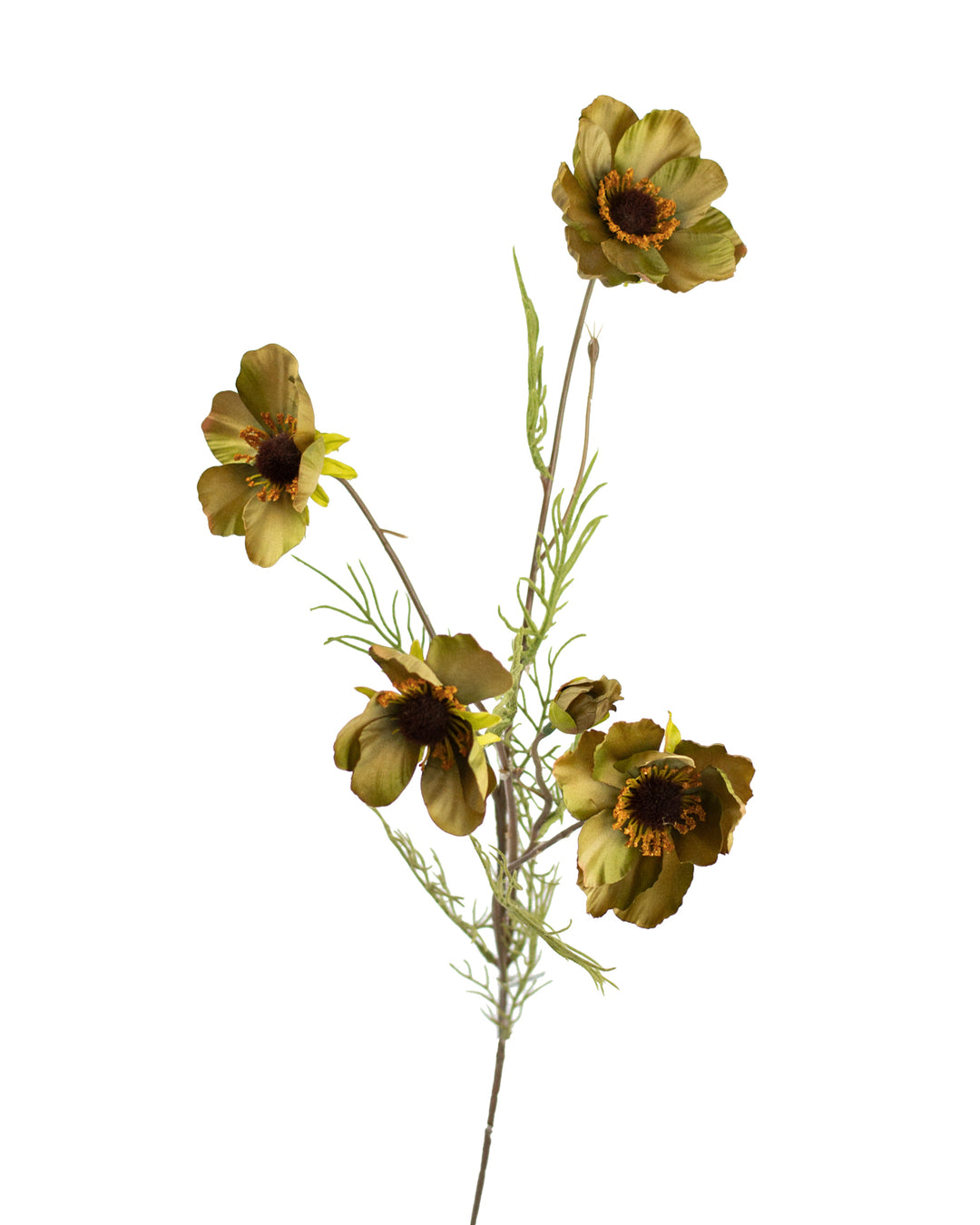 Sage Anemone Spray