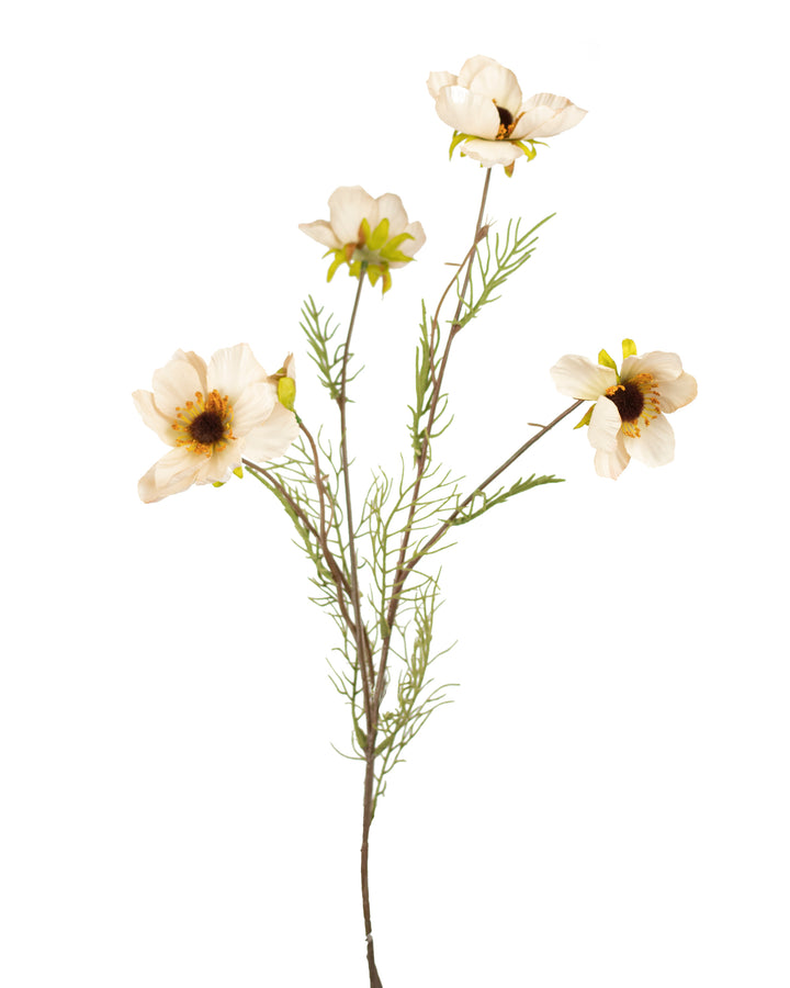 Ivory Anemone Spray