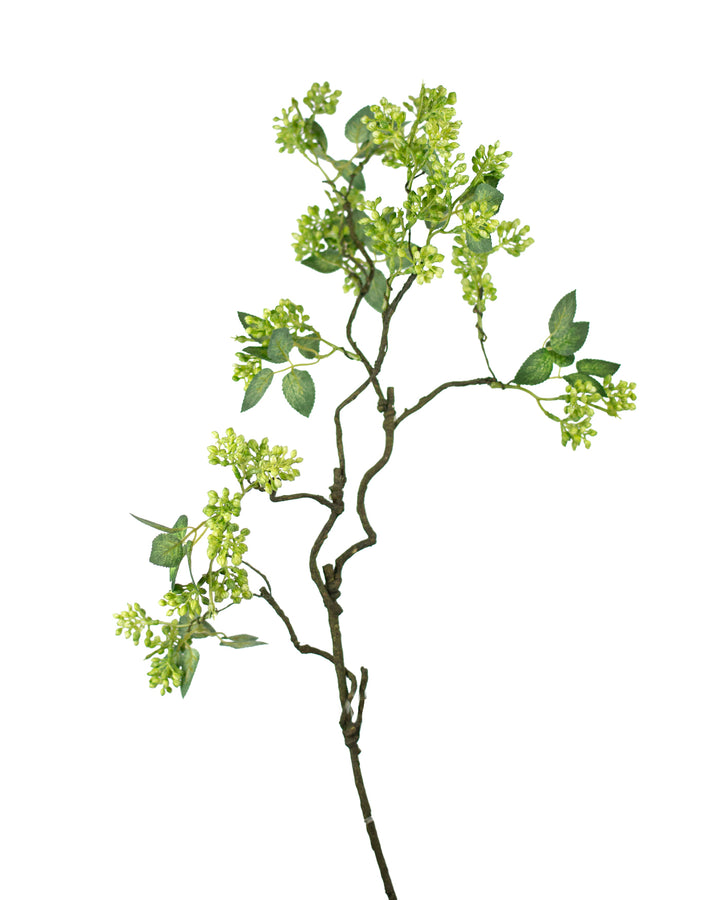 Green Berry Stem