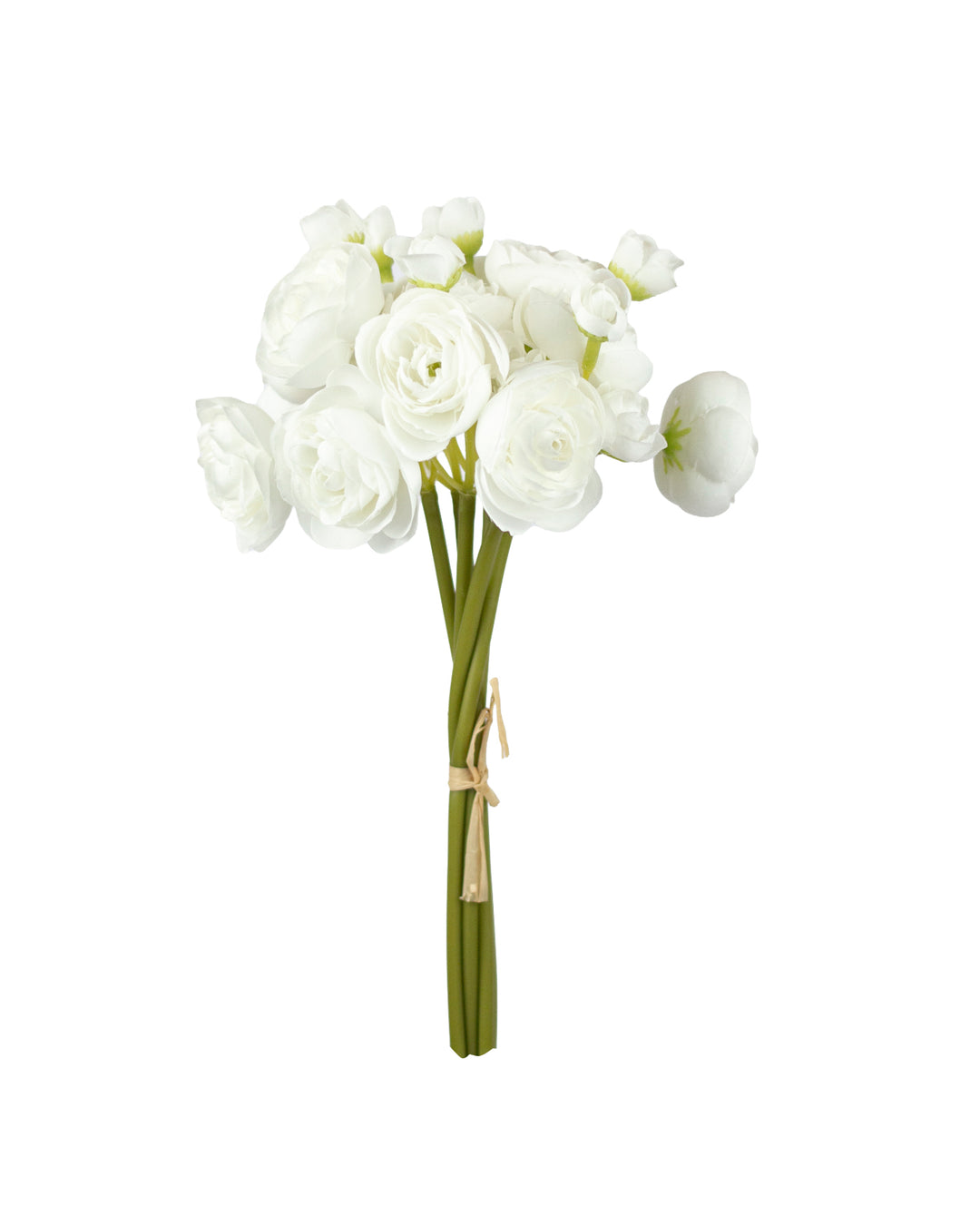 White Ranunculus Bundle