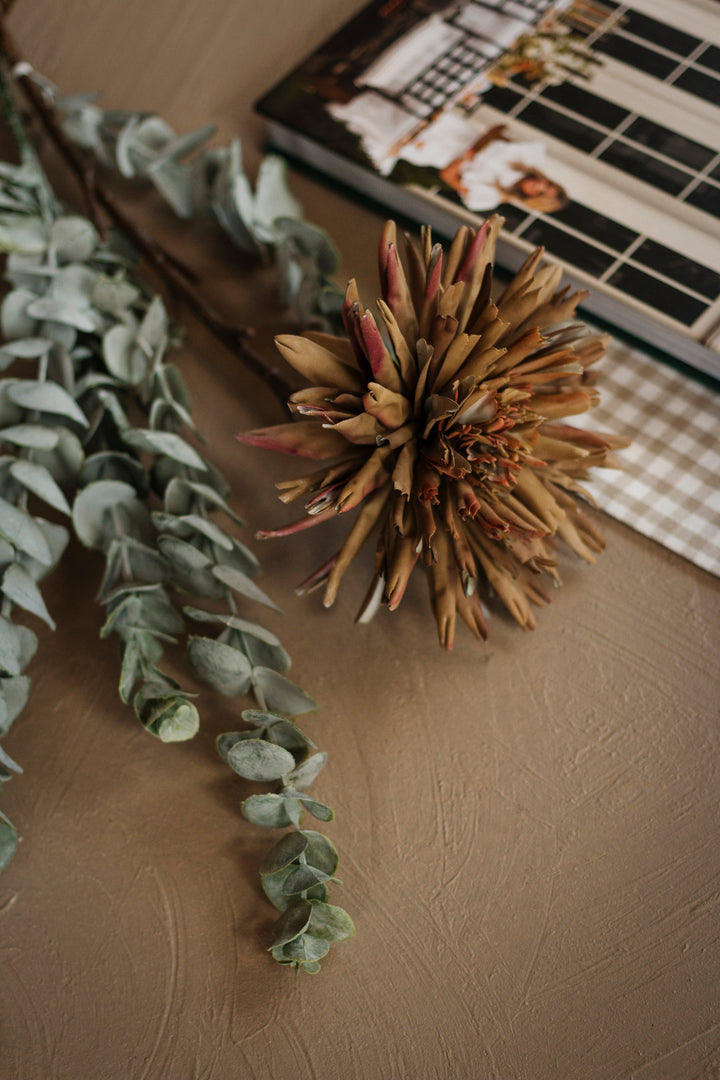 Airy Green Eucalyptus Stem