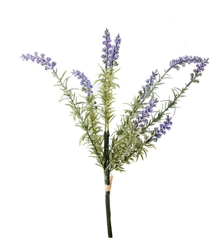 Lavender Bundle