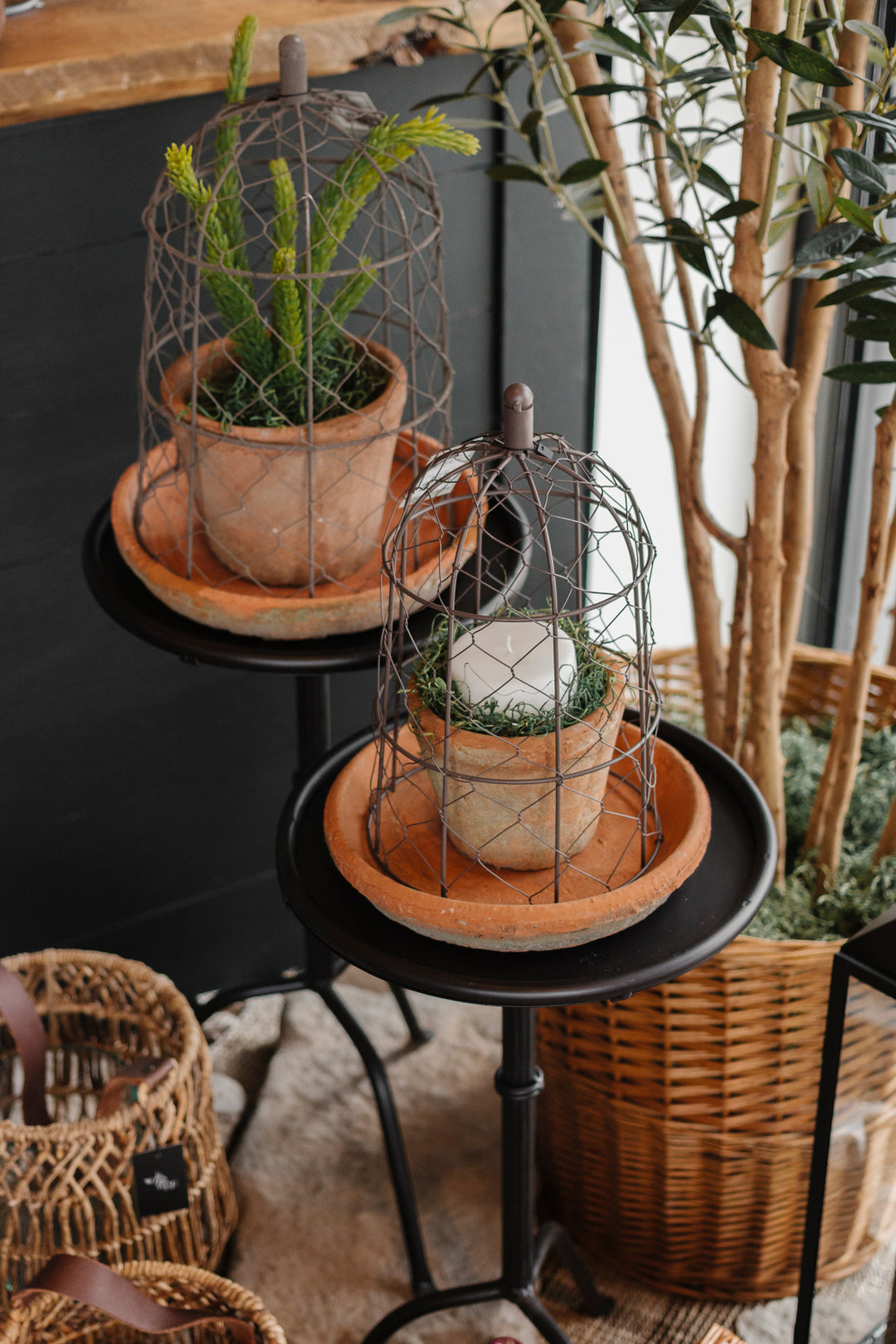 Redstone Cloche Planter