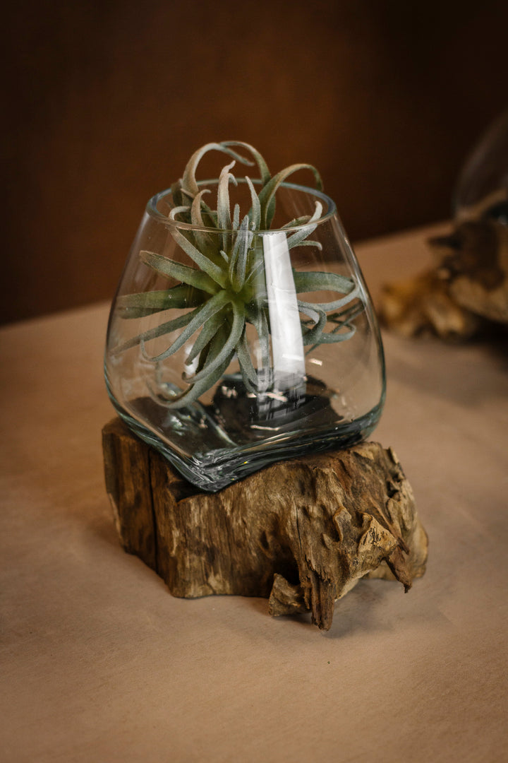 Drift Wood Glass Sculpture Vase