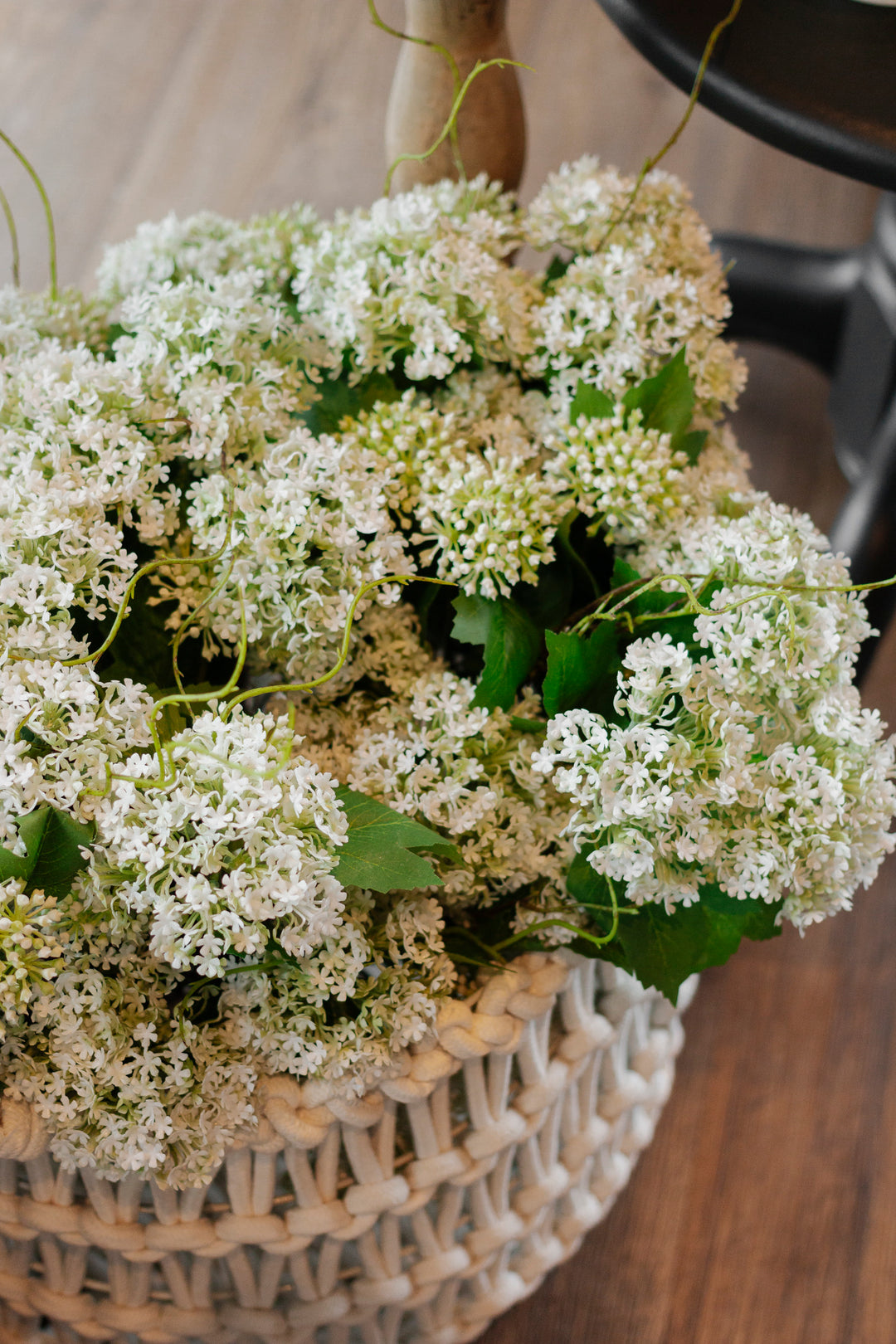 Snowball Viburnum Bundle