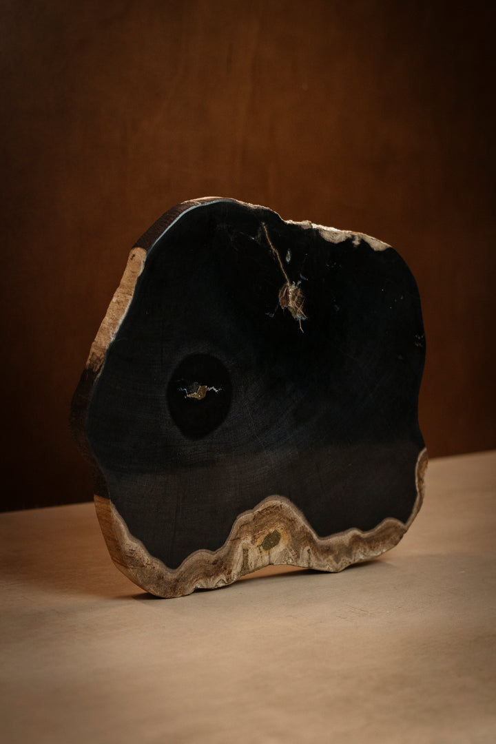 Round Petrified Wood Serving Board