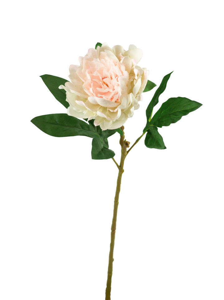 Blush Pink Real Touch Peony