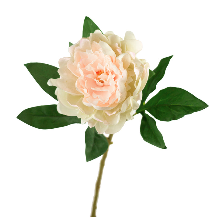 Blush Pink Real Touch Peony