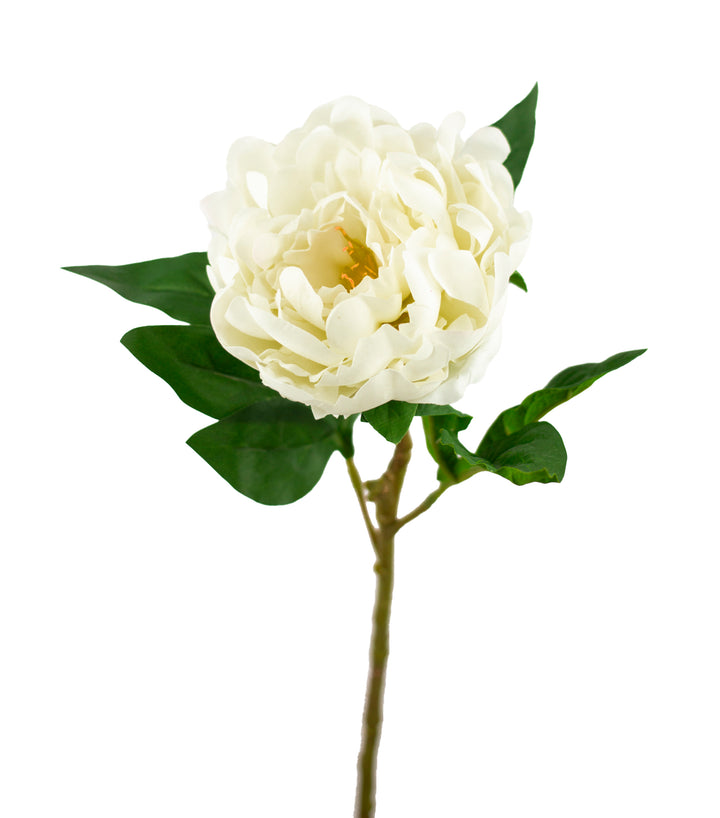 Cream Real Touch Peony