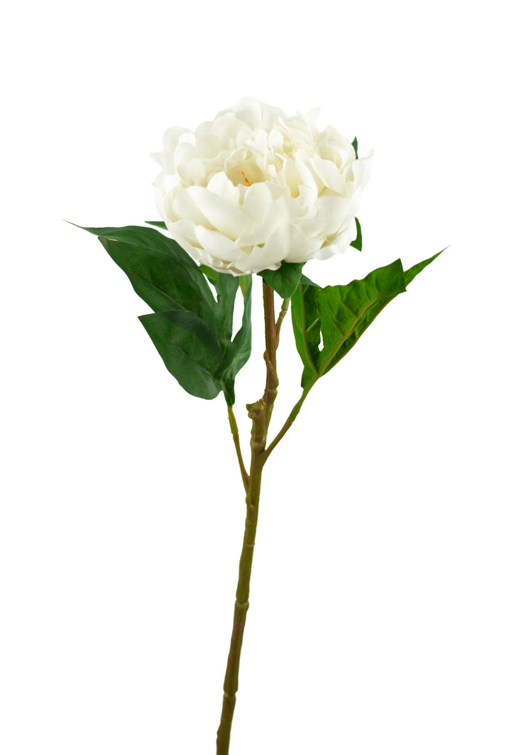 Cream Real Touch Peony