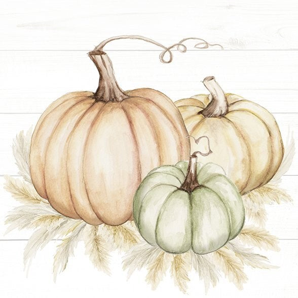 Harvest Pumpkin Napkins