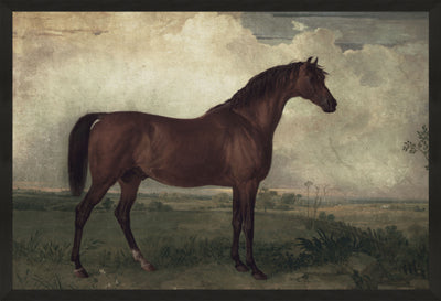 Chestnut Horse in Field