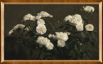 White Roses in Bloom Framed Canvas
