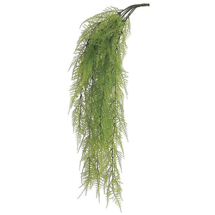 Hanging Fine Asapargus Vine
