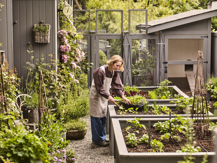 The Side Gardener