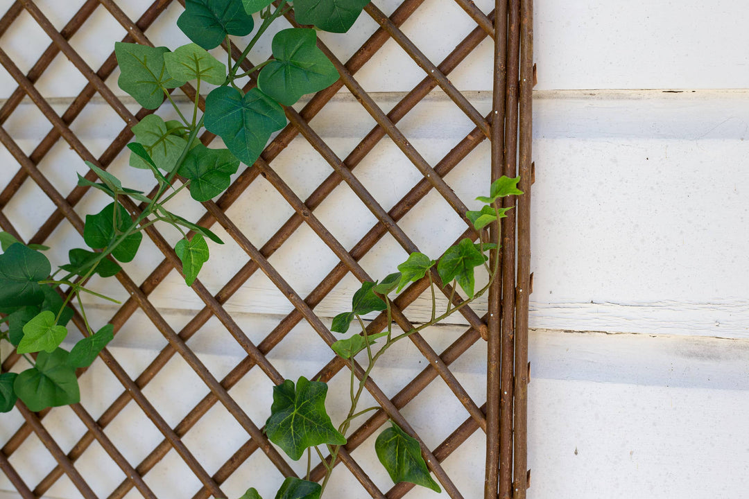 Willow Arch Garden Trellis