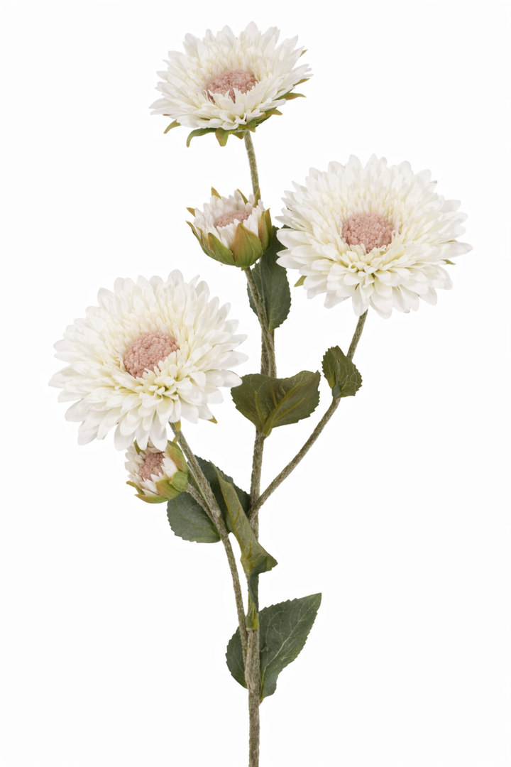 Soft White Garden Bloom Stem