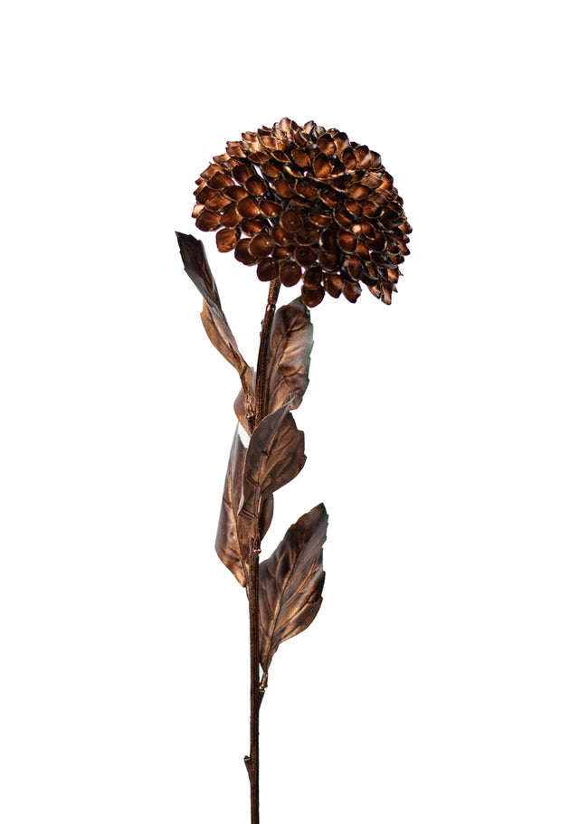 Bronze Dahlia Stem