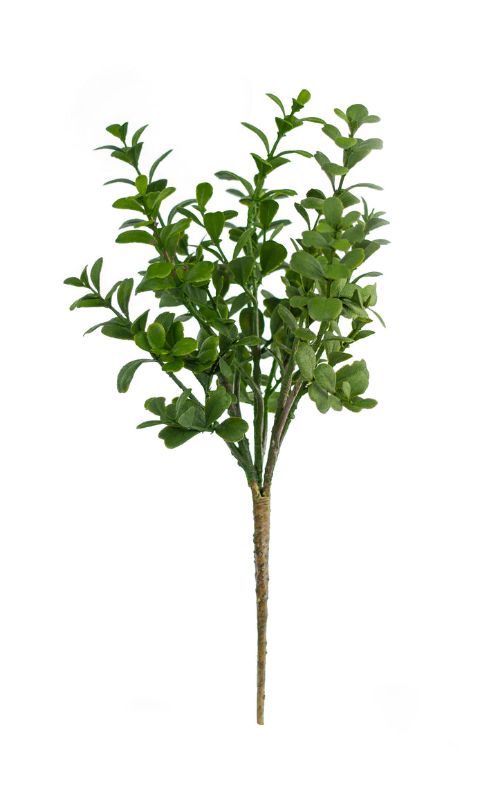 Boxwood Pick