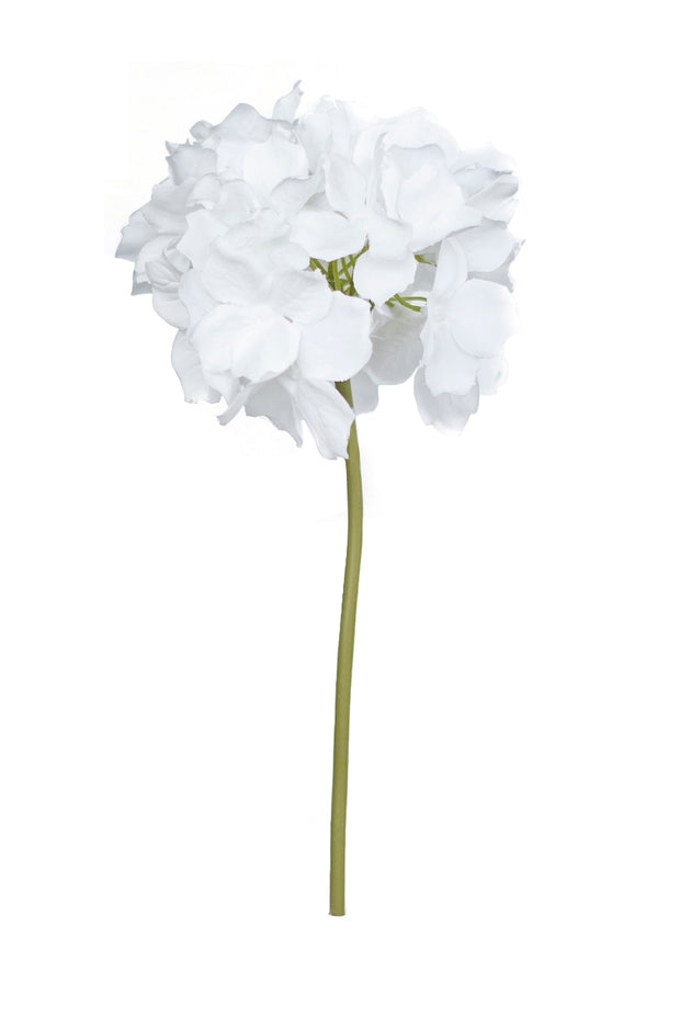 White Hydrangea Stem