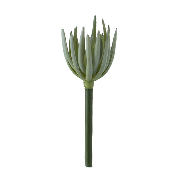 7" Senecio Pick