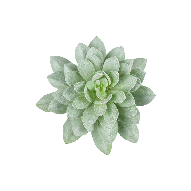 Grey-Green Flocked Succulent Pick