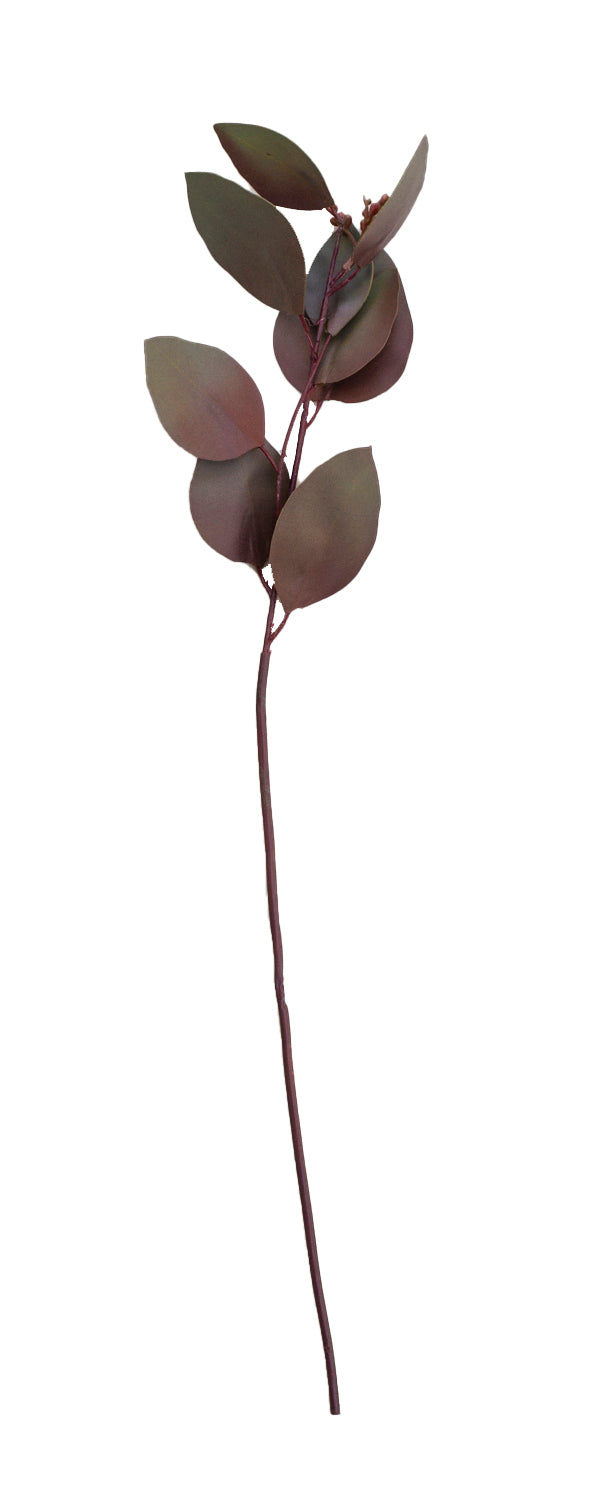 Burgundy Green Seeded Eucalyptus Stem