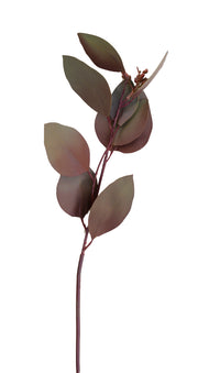 Burgundy Green Seeded Eucalyptus Stem