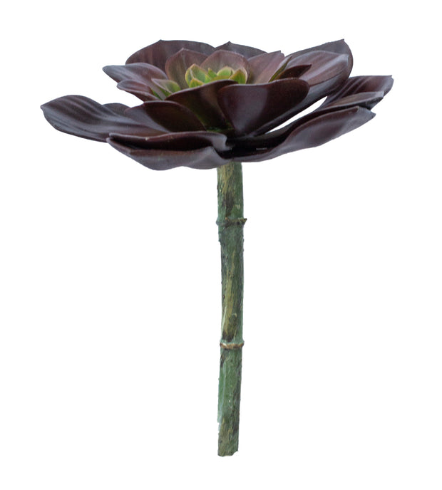 Burgundy Succulent Pick