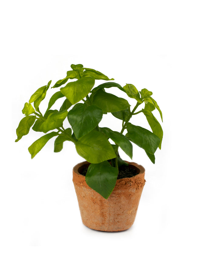Faux Basil in Clay Pot
