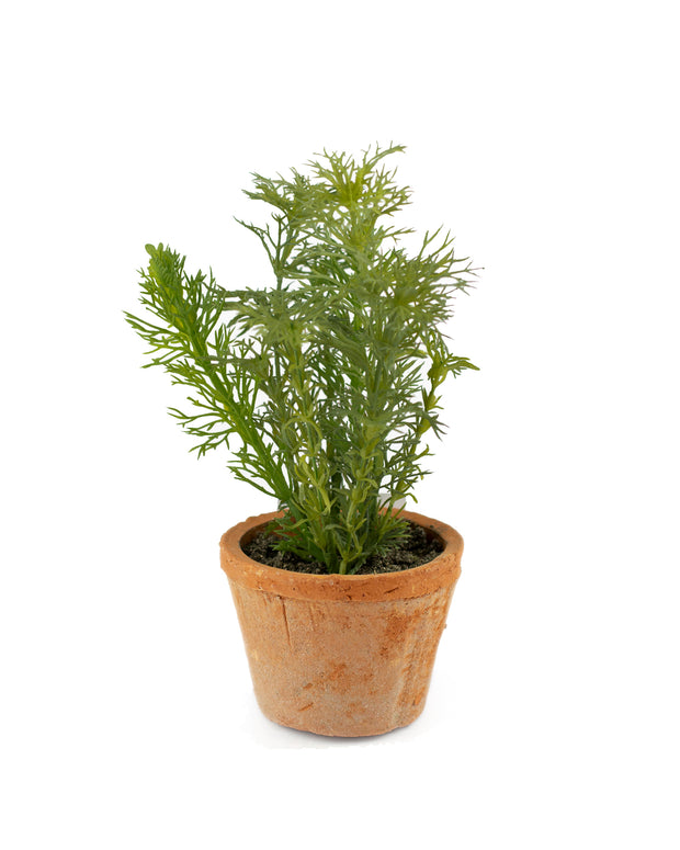 Faux Dill in Clay Pot