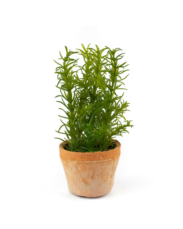 Faux Rosemary in Clay Pot
