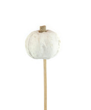 Dried Banana Leaf Pumpkin Pick